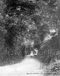 Picture of Berks - Wokingham, Gipsy Lane c1910s - N1005