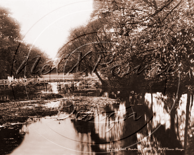 Picture of Berks - Bracknell, Binfield Road c1910s - N1148