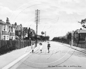 Picture of Berks - Caversham, Albert Road c1900s - N1171