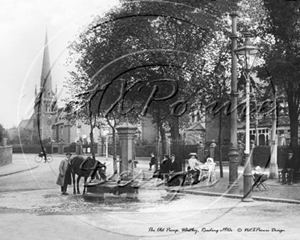 Picture of Berks - Reading, Whitley Pump c1910s - N1179