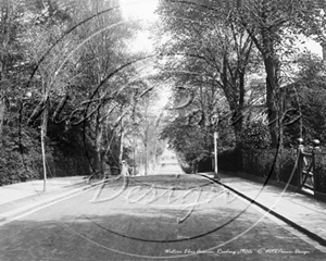 Picture of Berks - Reading, Western Elms Ave c1900s - N1180