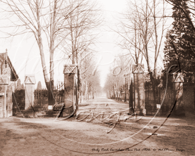 Picture of Berks - Caversham, Derby Road c1900s - N1183