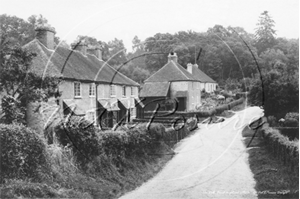 Picture of Berks - Finchampstead, The Dell c1920s - N2101