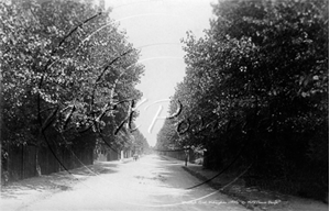 Picture of Berks - Wokingham, Murdoch Road c1900s - N2237