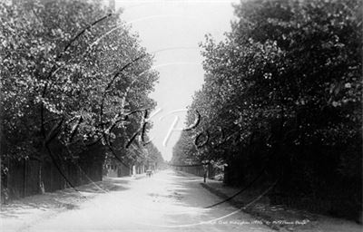 Picture of Berks - Wokingham, Murdoch Road c1900s - N2237