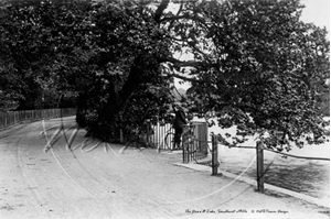 Picture of Berks - Sandhurst, The Drive & Lake c1900s - N2467