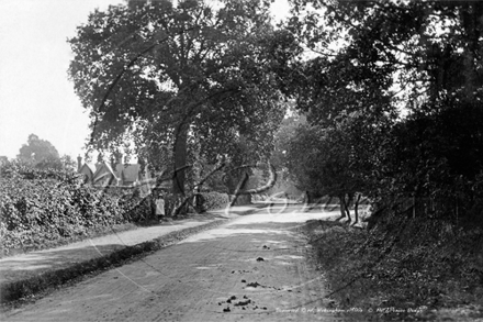 Bearwood Road, Sindlesham, Wokingham in Berkshire c1900s