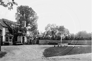 Picture of Berks - Wokingham, Two Poplars c1900s - N2596