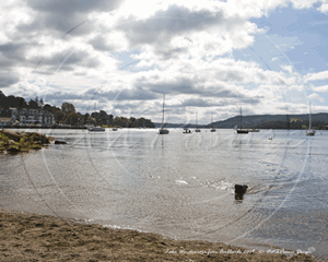 Picture of Cumbria - Lake District, Windermere 2009 - N1831