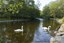 Picture of Cumbria - Rydal Water 2010 - N1867