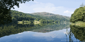 Picture of Cumbria - Grasmere Reflections 2010 - N1872