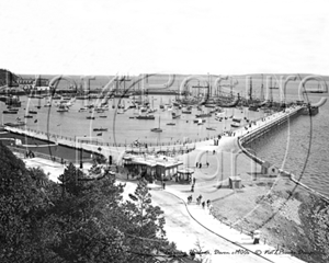 Picture of Devon - Torquay Harbour c1900s - N869