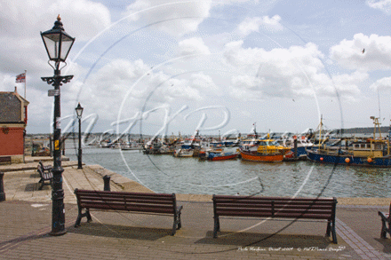 Poole Harbour, Dorset summer of 2009