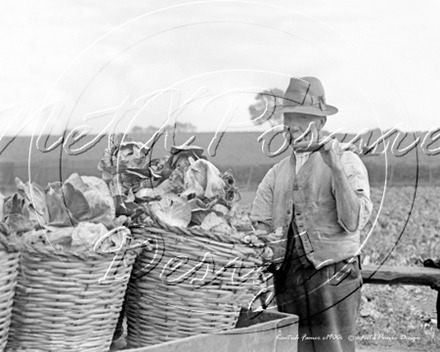 Picture of Kent - Kentish Farmer c1900s - N922