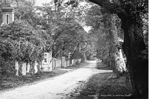 Picture of Kent - Sidcup, Frognal Avenue c1900s - N2546