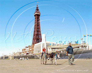 Donkey Ride on Blackpool's Pleasure Beach with the Tower in the background in Lancashire July 2006