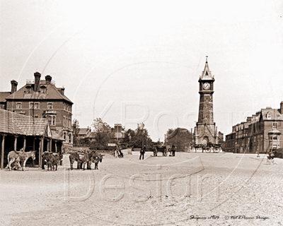 Picture of Lincs - Skegness, The Sands c1904 - N699