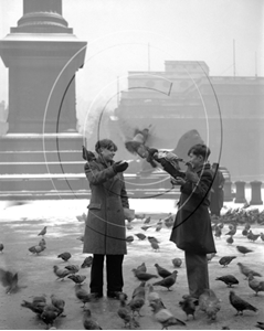 Picture of London - Trafalgar Square c1930s - N024