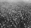 Show details for London Life - George V's Coronation Crowd 1911 - N102 Picture of London Life - George V's Coronation Crowd 1911 - N102