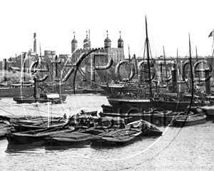 Picture of London - The Tower of London c1880s - N316