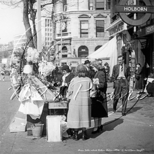Picture of London Life - Holborn Flower Seller 1950s - N2217