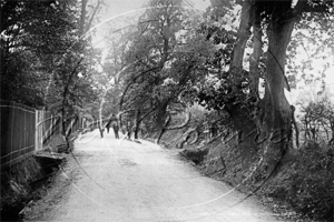 Whitefoot Lane, Catford in South East London c1910s
