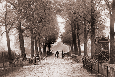 Picture of London, SE - Peckham, Park c1920s - N2337