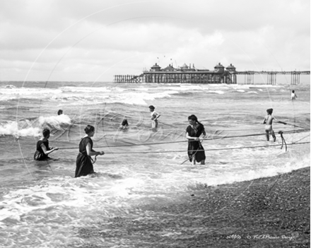 Picture of Misc - Seaside View c1900s - N1716