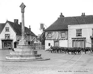 Picture of Essex - Dedham & Cattle c1930s - N410