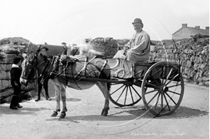 Picture of Cornwall - St Just, Donkey and Cart c1900s - N2675