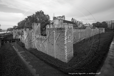 Remembrance Day and The Tower Poppies, Tower of London in London November 2014