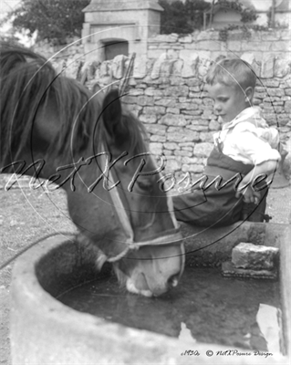 Picture of Misc - Animals, Horse and Boy c1930s - N757