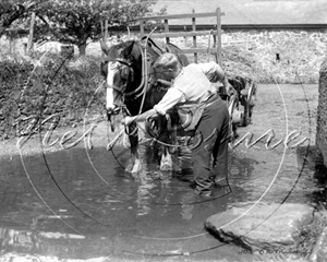 Picture of Misc - Animals, Horse and Wagon c1930s - N763
