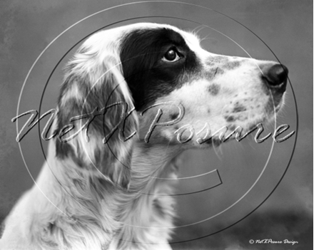 Picture of Misc - Animals, Dog c1930s - N793