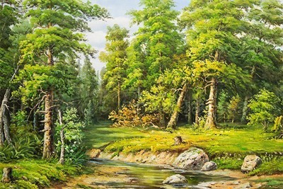 Picture of Landscapes - River and Forest Scene - O055