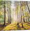 Picture of Landscapes - Forest and Trees - O029