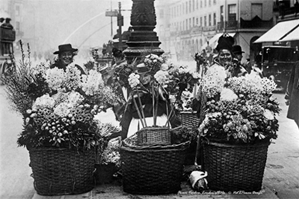 Picture of London Life - Flower Vendors c1900s - N3851