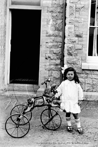 Picture of Devon - Chudleigh c1900s - N4036