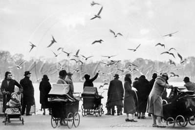 Picture of London - Hyde Park, Feeding the Birds c1920s - N4101