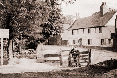 Picture of London, N - Tottenham, White Hart Lane and Rectory Farm c1900s - N4286