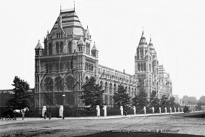 Picture of London, SW - Cromwell Road, Natural History Museum c1890s - N4304