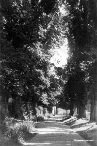 Reading Road, Wokingham in Berkshire c1910s