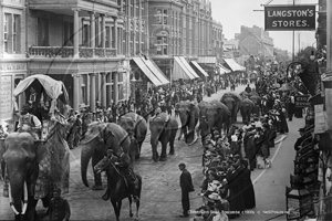 Elephants on Parade, Christchurch Road, Boscombe in Dorset c1900s