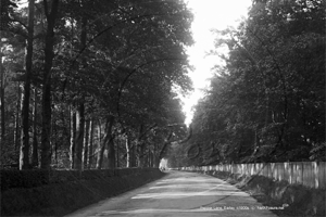 Picture of Berks - Earley, Pepper Lane c1900s - N4428