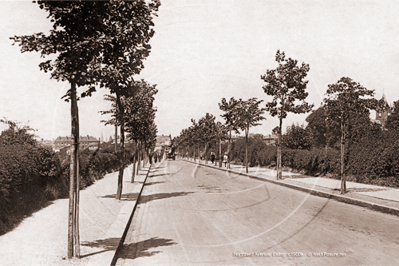 Picture of London, W - Ealing, Northfield Avenue c1900s - N4918