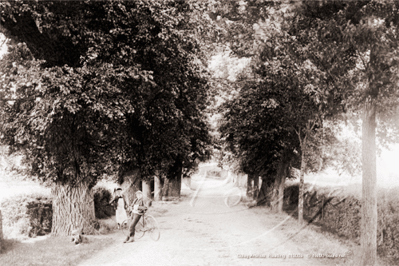 Picture of Berks - Reading, Coley Avenue c1900s - N5091